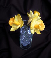 /album/ozdoby-na-torty/narcisy-jpg/